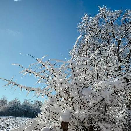 Loft 88 Апартаменты