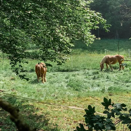 Appartement Loft 88 *