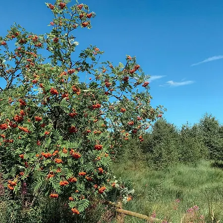 Appartement Loft 88 Eupen