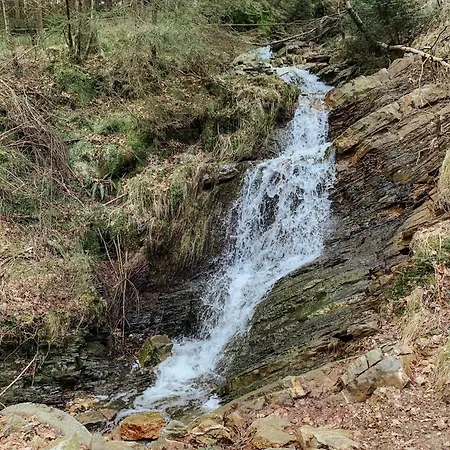 Loft 88 Апартаменты *