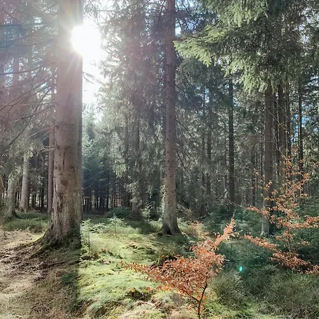 Апартаменты Loft 88 Эйпен