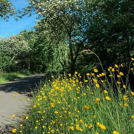 Appartement Loft 88 *