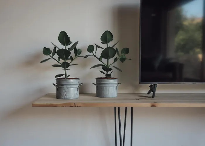 Loft 88 * ايوبن