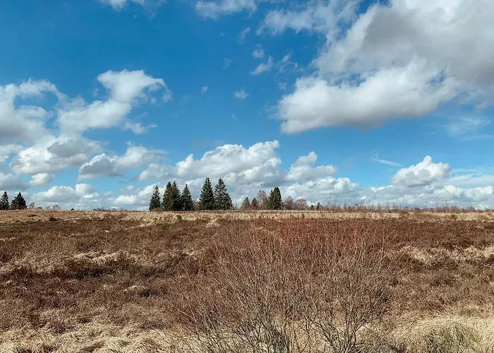 Loft 88 شقة ايوبن