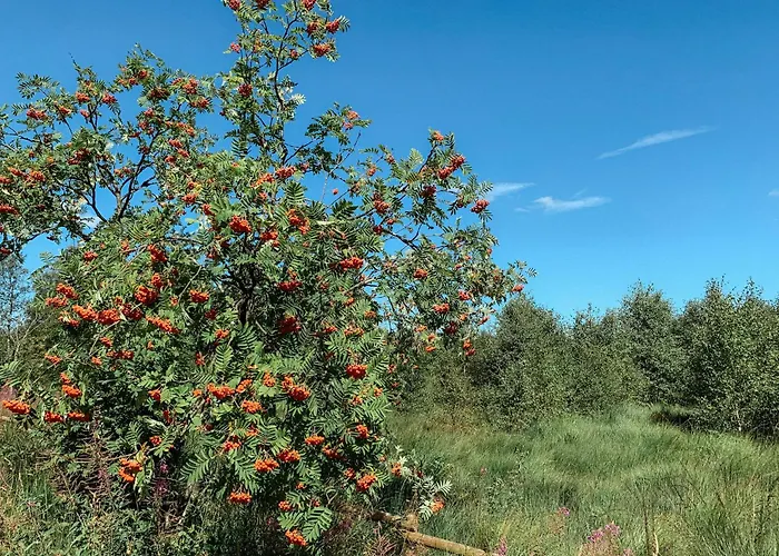 شقة Loft 88 ايوبن